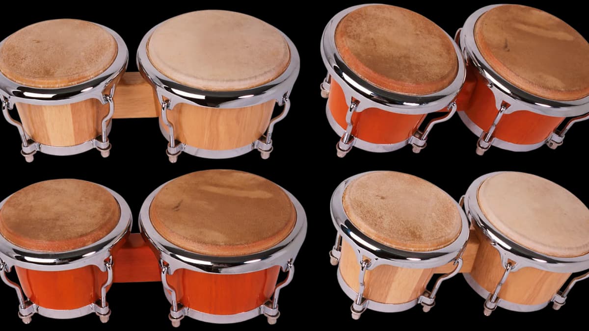 Bongos
