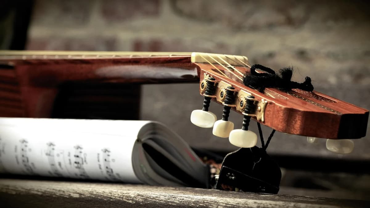 Fender Westerngitarre