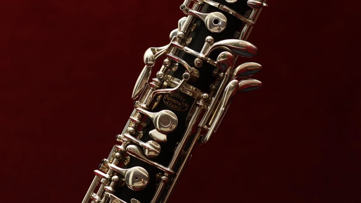 Nahaufnahme der Klappenmechanik einer Oboe aus dunklem Holz. Foto: benzahodnar / Pixabay.