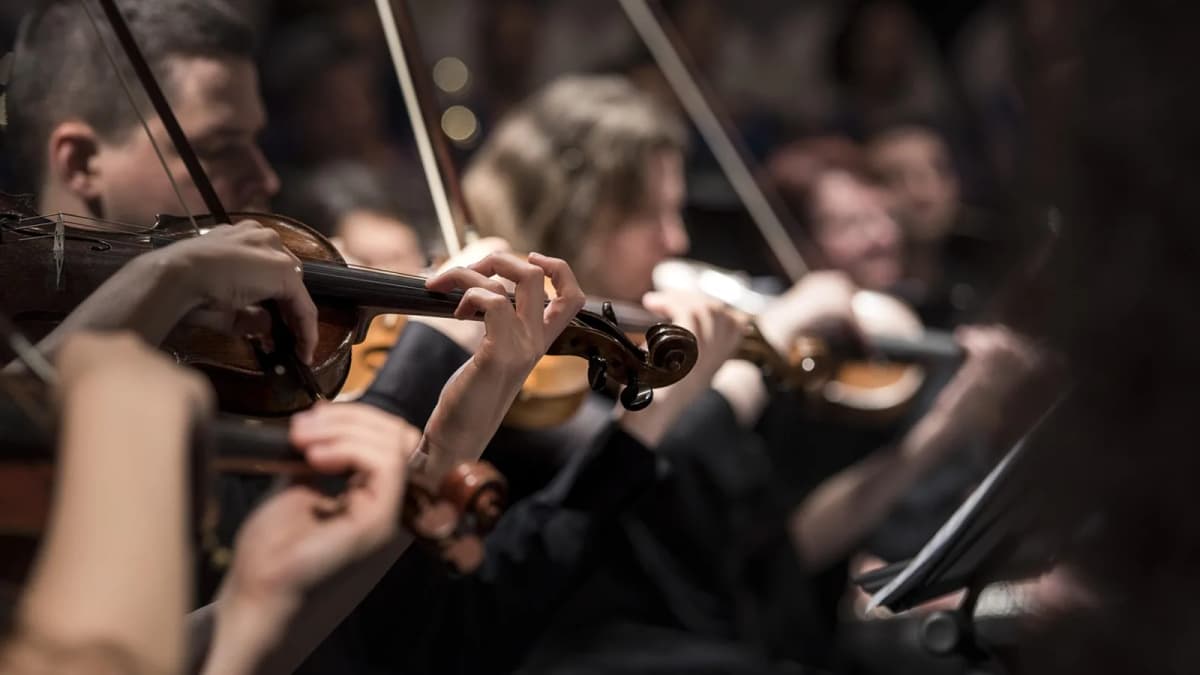 Orchestermusiker werden