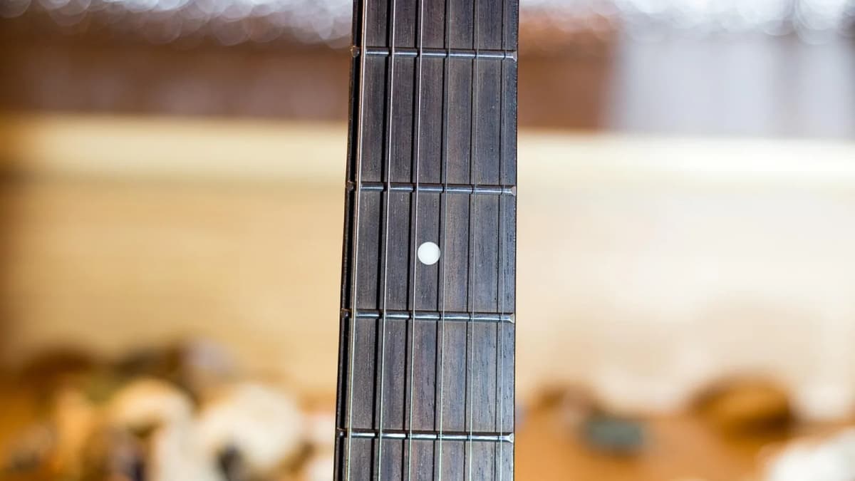 Der Hals einer Gitarre mit Bünden und Griffbrettmarkierung. Foto: arodsje / Pixabay.