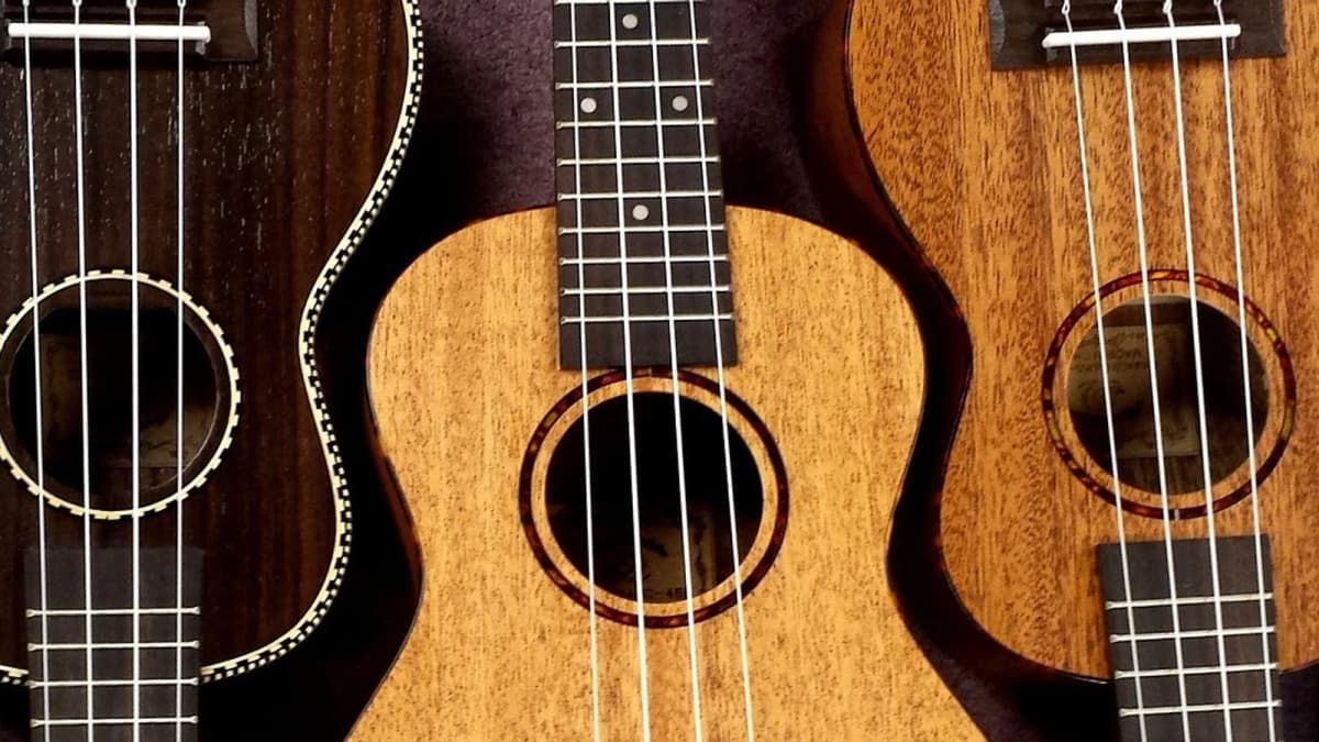 Zwei Ukulelen mit unterschiedlicher Holzmaserung liegen übereinander. Foto: stgilesmusic / Pixabay.