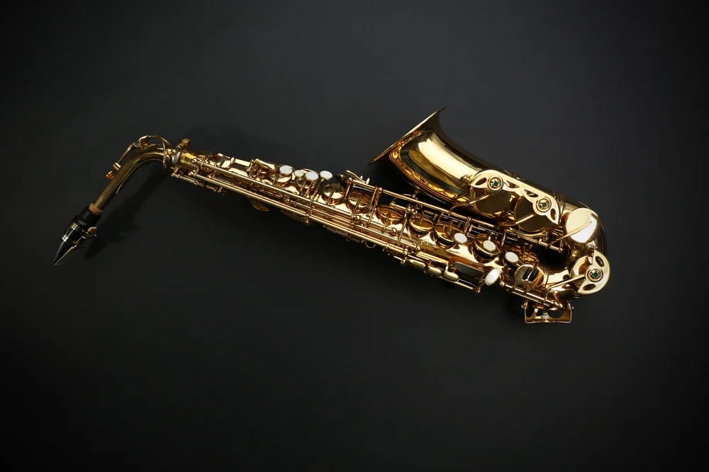 Bild: Africa Studio / Shutterstock.com