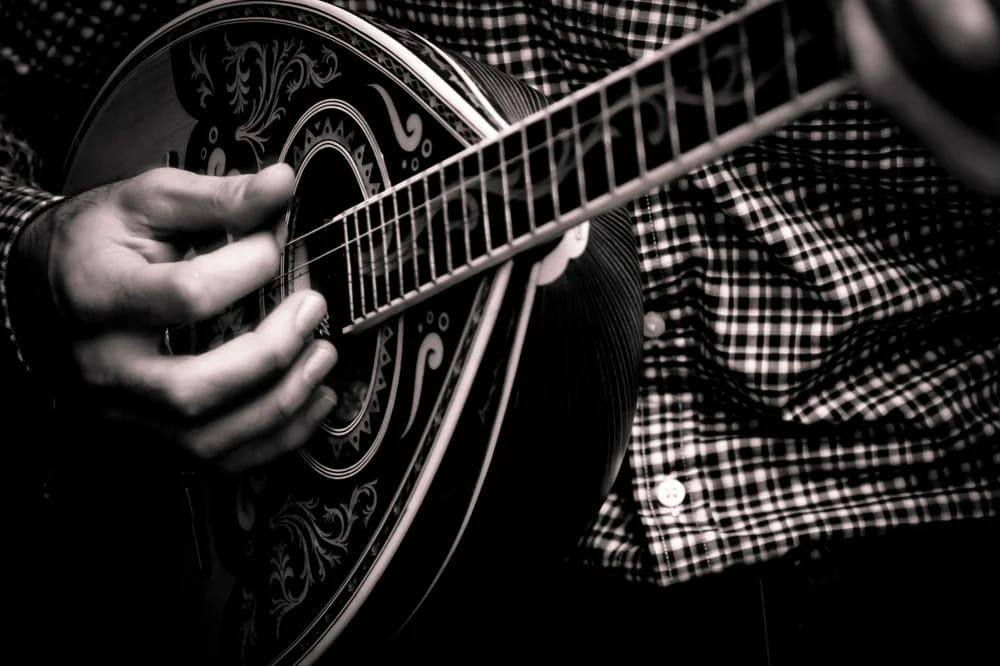 Bild: Valentinos Loucaides / Shutterstock.com