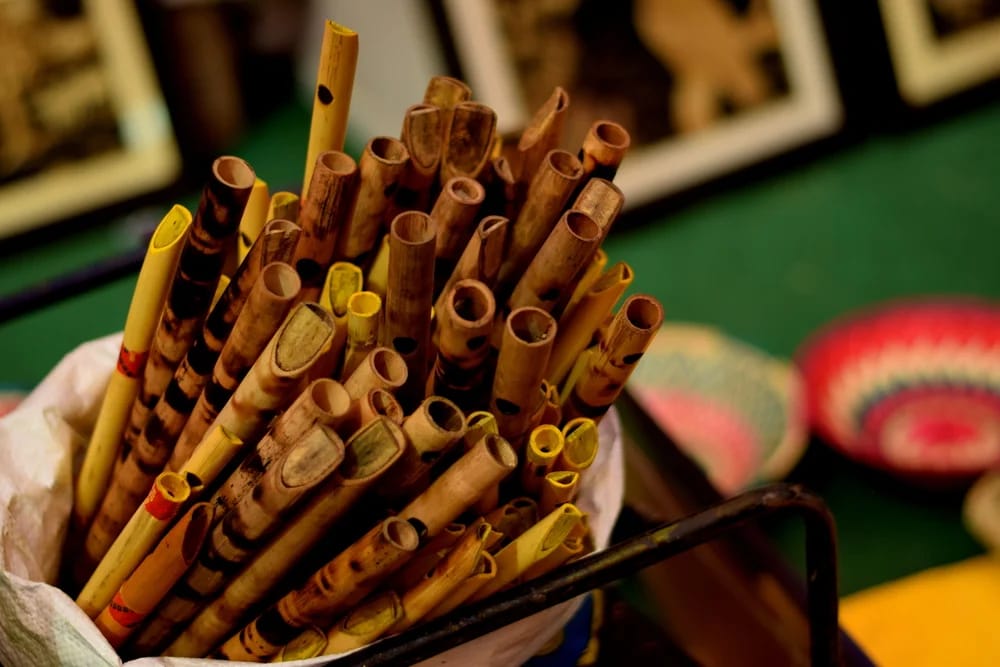 Bild: Ayush Parasher / Shutterstock.com