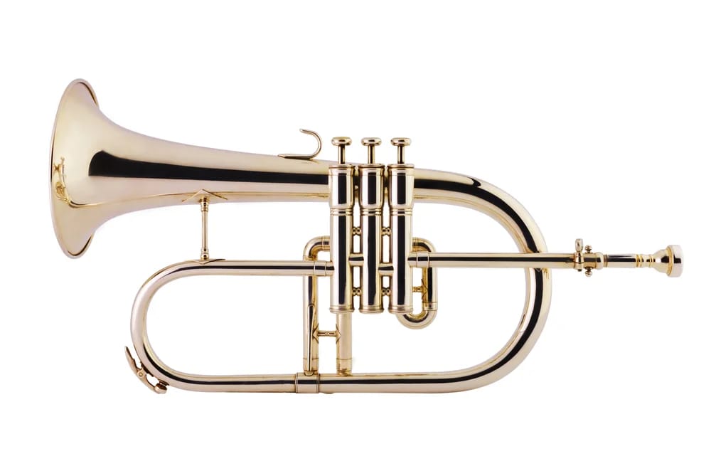 Bild: Flügelhorn / Shutterstock.com