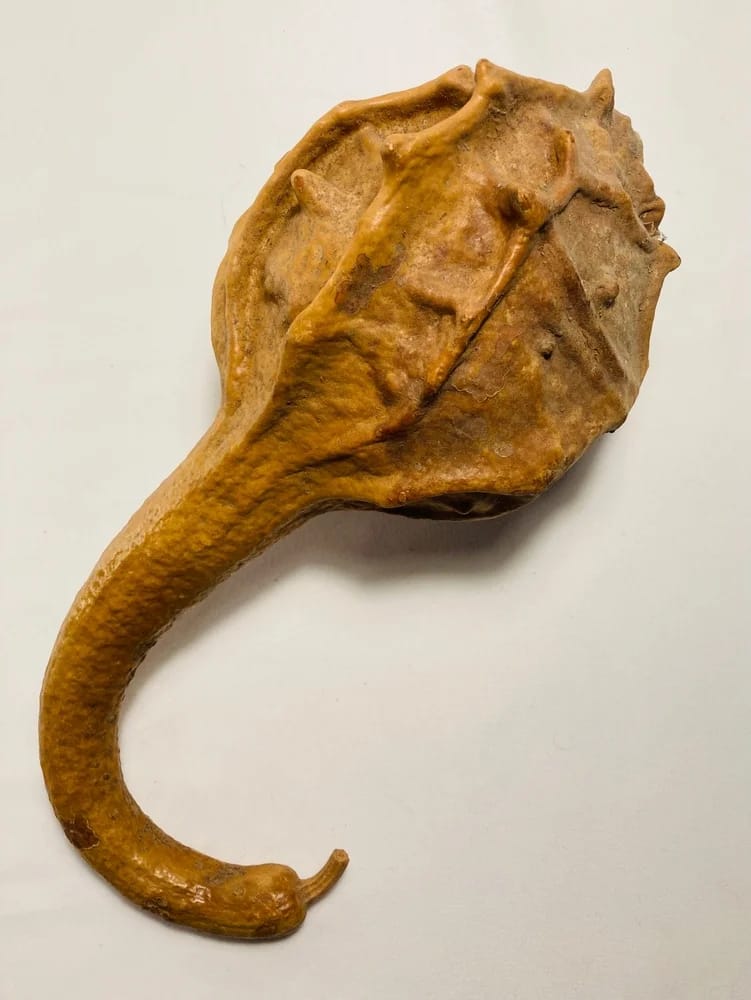 Bild: Harmoniza / Shutterstock.com