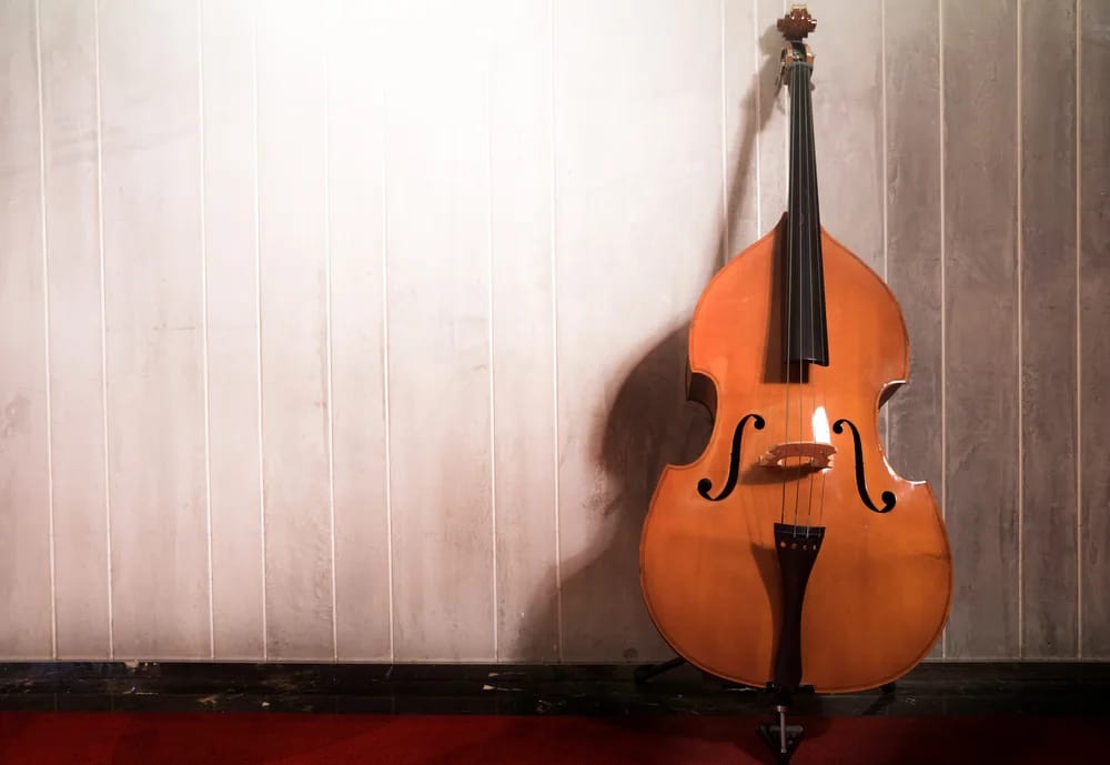 Bild: Buncha Lim / Shutterstock.com