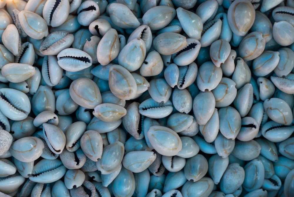 Bild: Bapi Ray / Shutterstock.com