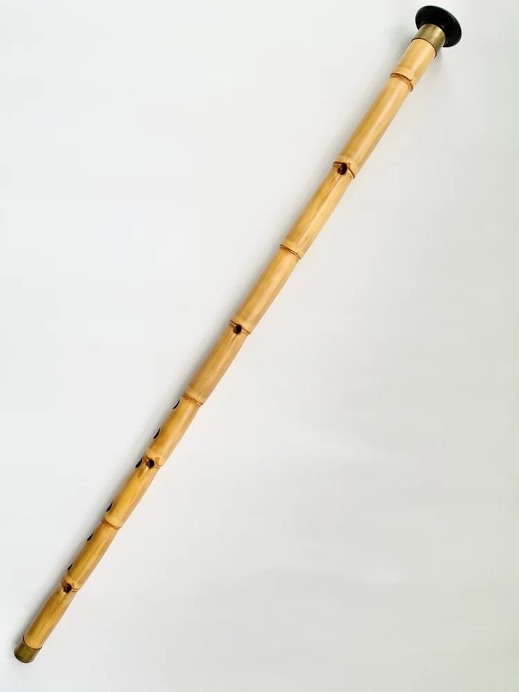 Bild: memineroglu / Shutterstock.com