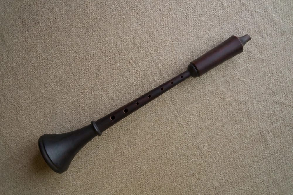 Bild: Zajaczver / Shutterstock.com