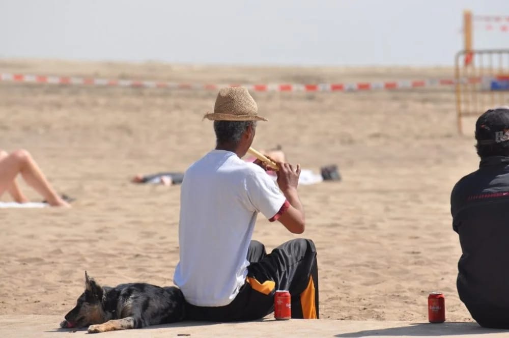 Algaita ist ein Holzblasinstrument aus der nordwestafrikanischen Savanne