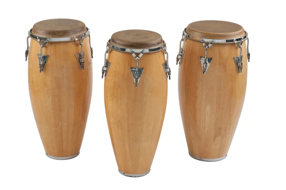 Conga