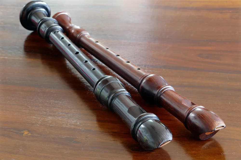 Duct Flute