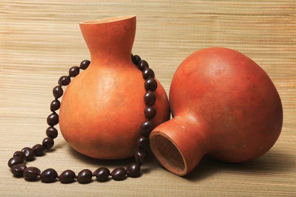 Bild: Vibe Images / Shutterstock.com