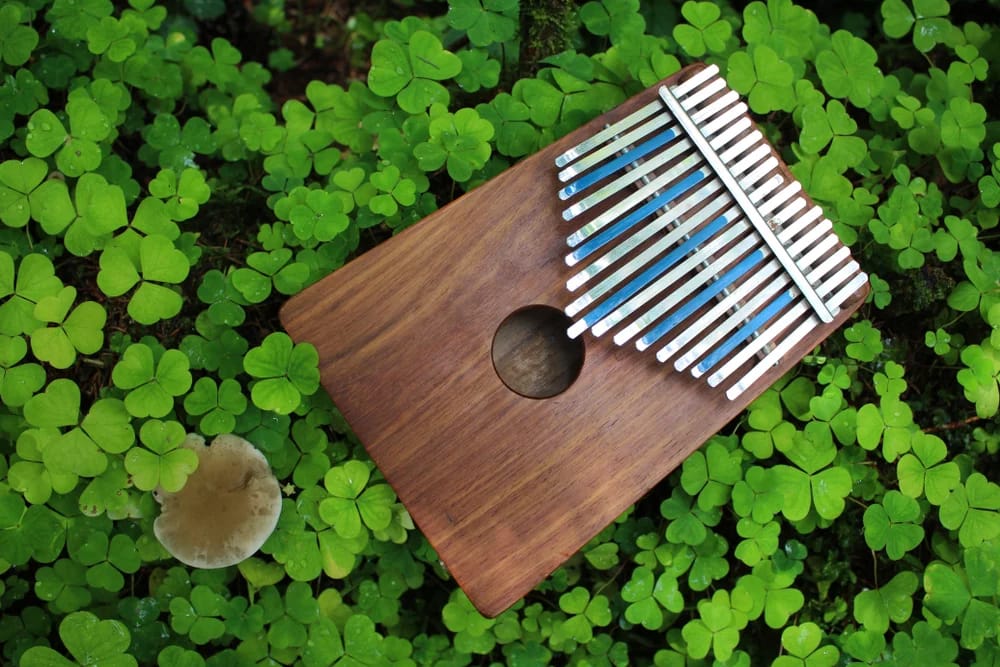 Bild: Lesina Oxana / Shutterstock.com