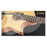 Schlagschutz bei Westerngitarren