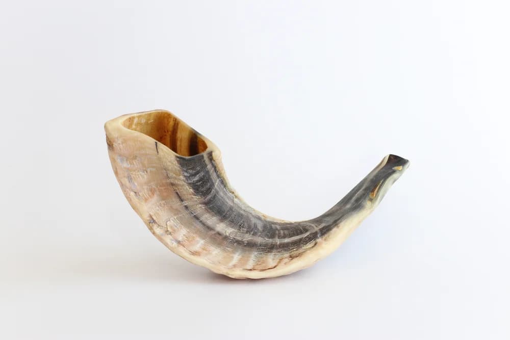 Bild: tomertu / Shutterstock.com