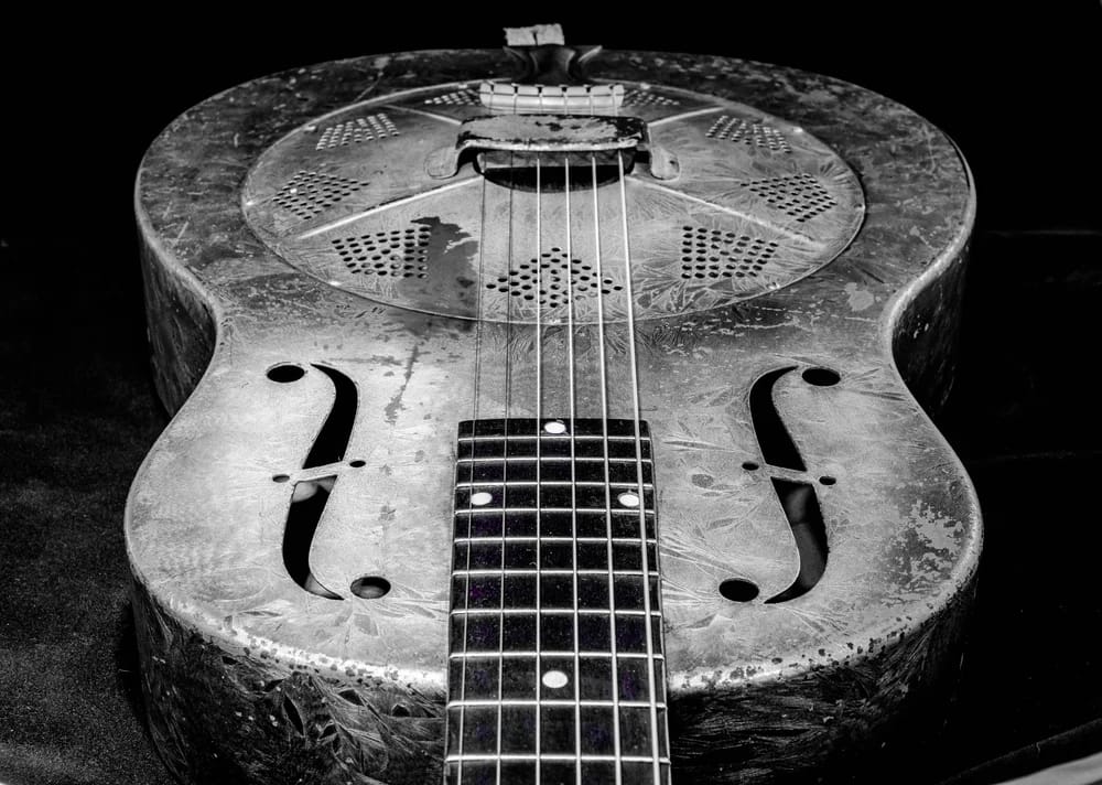 Bild: Laura McKinnon / Shutterstock.com