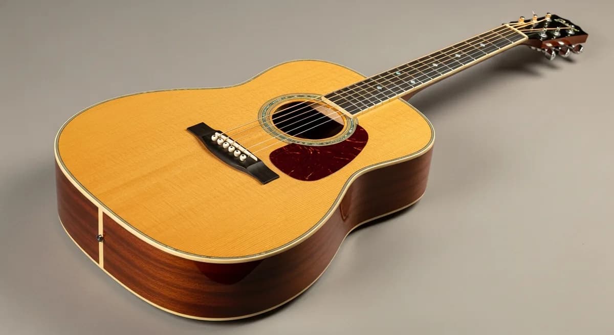 Washburn Westerngitarre